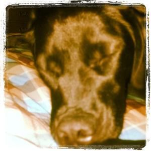 Meet your Posher, Julia